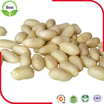 Shandong Blanched Peanut Kernels 25/29